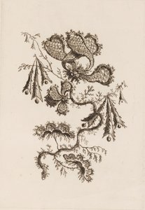 Blomstergren, fra "Fleures Persannes" af Jean Baptiste Pillement