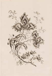 Blomstergren, fra "Fleures Persannes" af Jean Baptiste Pillement