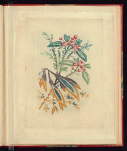 Ornamental design med små røde blomster og bær, fra New Suite of Natural Flower Notebooks til brug for tegnere og malere, No.1 af Jean Baptiste Pillement