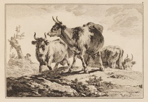 Plade 4, fra "Notesbog med seks ark okser og køer" af Jean Baptiste Pillement