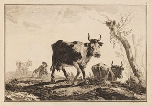 Plade 5, "Notesbog med seks ark okser og køer" af Jean Baptiste Pillement