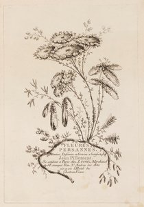 Titelside fra "Persiske blomster" af Jean Baptiste Pillement