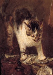 Stillebenskøjten af fisk, østers, kande. Katte detalje. Maleri af Jean Baptiste Simeon Chardin (1699-1779) 1727 søn. 1,14 x 1,46 m Paris. Louvre-museet af Jean Baptiste Simeon Chardin