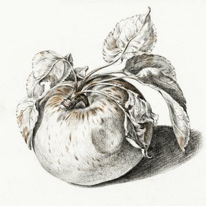 Apple af Jean Bernard