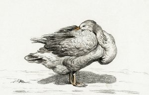 Gås (1816) af Jean Bernard