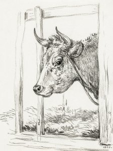Kohoved (1820) af Jean Bernard
