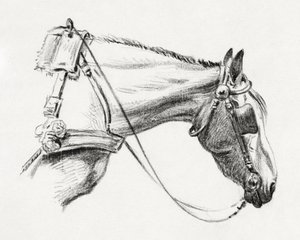 Hestehoved (1820) af Jean Bernard
