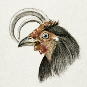 Hanehoved (1816) af Jean Bernard