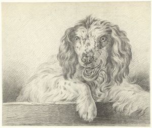 Hund af Jean Bernard