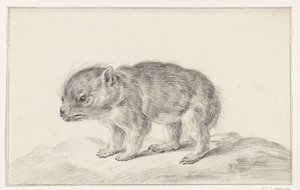 Ung bjørn (?) af Jean Bernard