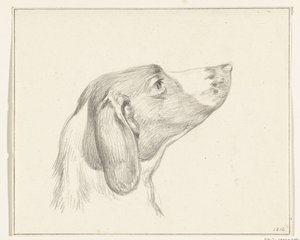 Hovedet af en hund, til højre af Jean Bernard