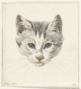 Kattehoved, set forfra i levende lys af Jean Bernard