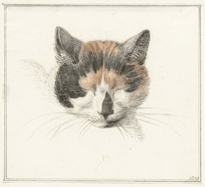 Hovedet af en calico kat, forfra, med lukkede øjne af Jean Bernard