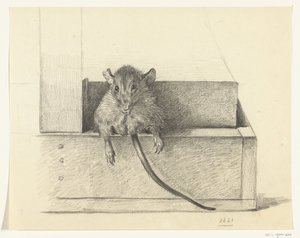 Mus (i en fælde?) af Jean Bernard