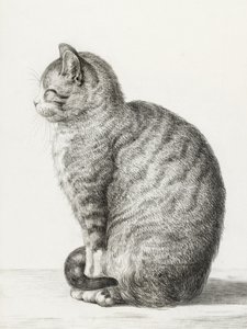 Siddende kat (1815)