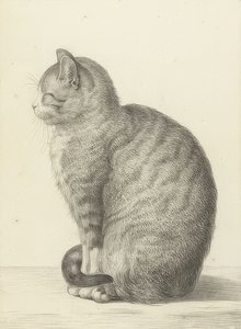 Siddende kat, til venstre. 1815