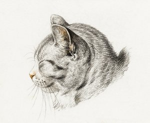 Skitse af en kat (1813)