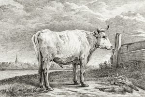 Standing Bull (1817) af Jean Bernard