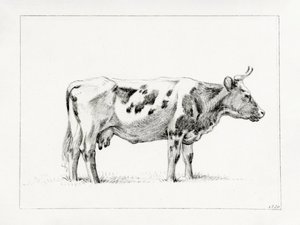 Stående ko (1820)
