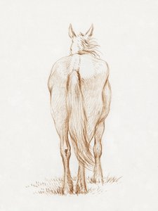 Stående hest (1815) af Jean Bernard