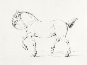 Stepping Horse (1775–1833) af Jean Bernard