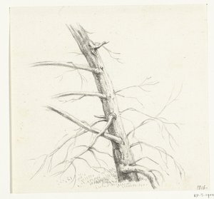Studie af et træ af Jean Bernard
