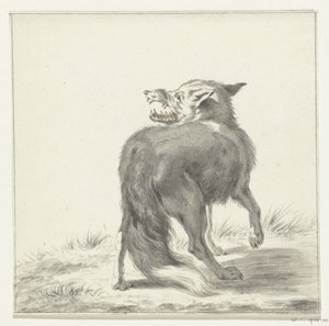 Vos af Jean Bernard