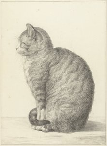 Siddende kat, til venstre