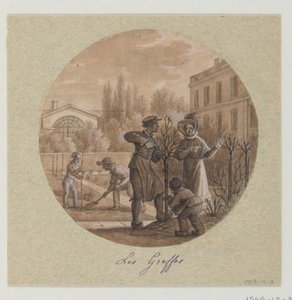 Design til en malet porcelænstallerken, Les Greffes (Grafts) fra Service de la Culture des Fleurs (Flower Cultivation Service) af Jean Charles Develly