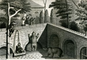 Bjørnehule i en zoologisk have af Jean Charles Werner