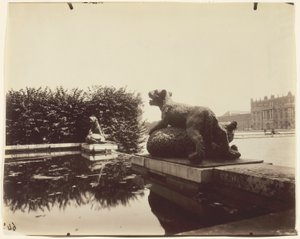 Versailles, Fontaine du Point du Jour, (Tigre Terrassant un Ours af Houzeau) af Jean Eugène Auguste Atget