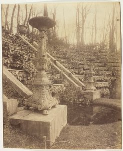 Versailles, Le Parc af Jean Eugène Auguste Atget