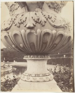 Versailles, Vase af Jean Eugène Auguste Atget