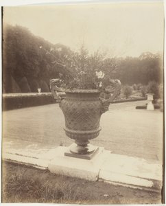 Versailles, vase af Ballin af Jean Eugène Auguste Atget