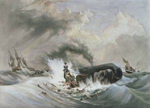 Hvalen af Jean Francois (after) Garneray