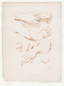 Sammensætning med arme, næse og en del af et ansigt Kompositioner med dele af den menneskelige krop (serietitel) af Jean Francois Janinet
