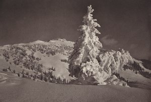 Rigi Kaltbad, Skigelande og Rigi Kulm (s/h foto) af Jean Gaberell