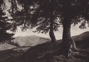 Rigi Staffel, gå i nærheden af ​​Staffel (s/h-billede) af Jean Gaberell