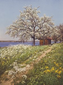 Schweiz: maj-tid (farvefoto)