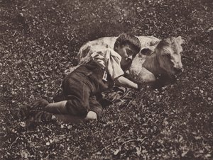 Schweiz: Siesta (s/h foto) af Jean Gaberell