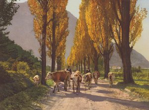 Schweiz: Rhônedalen nær Visp (farvefoto)