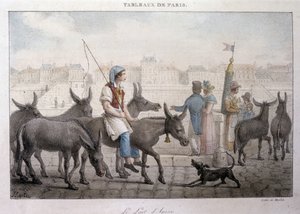 Tidligere gadehandel i Paris: købmand af æselmælk (Ane dans Paris) - Indgravering af Jean Henry Marlet (1771-1847) i "" Les Tableaux de Paris"", serie på 72 tryk, slutningen af ​​det 19. århundrede