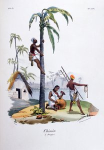 Chanar, 1828 af Jean Henri Marlet