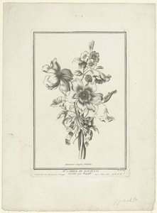 Buket af anemone og bindweed Anemones simples, Volubilis (titel på objekt) IIe Cahier de Bouquets (serietitel) af Jean Jacques Avril (I)