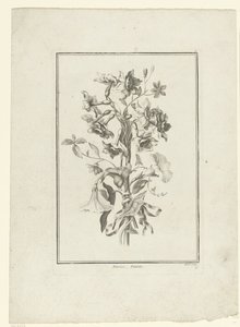 Buket af påskelilje og bindweed Narcissus, Volubilis (titel på objekt) IIe Cahier de Bouquets (serietitel) af Jean Jacques Avril (I)