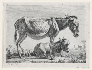 Jenny med sit føl, 1797. af Jean Jacques de Boissieu