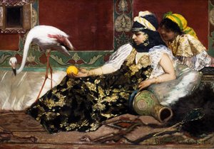 Den lyserøde flamingo af Jean Joseph Benjamin Constant