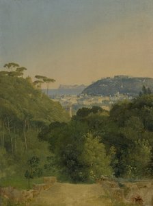 Udsigt over Napoli-bugten af Jean Joseph Xavier Bidauld