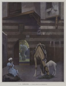 Camel Driver (farve litho)