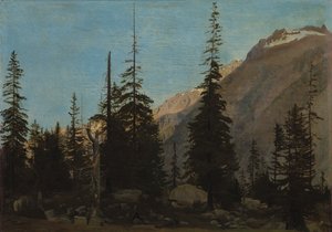 Alpine Landscape: The Handegg, Schweiz, 1850
